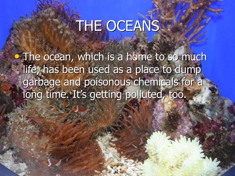 THE OCEANS The ocean, which is a home to so much life, has been